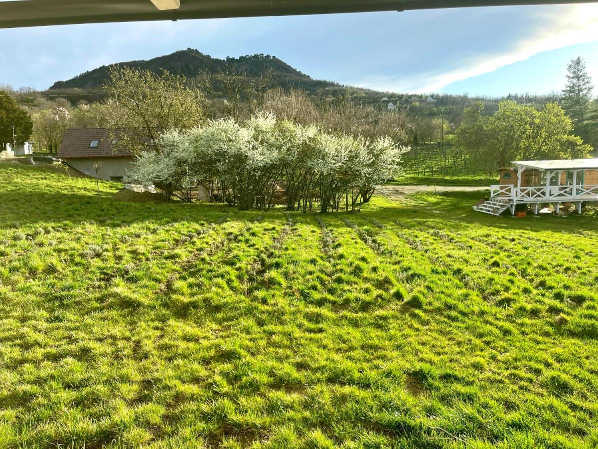 Bohemian Eco Lodge Kisapati 외부 사진