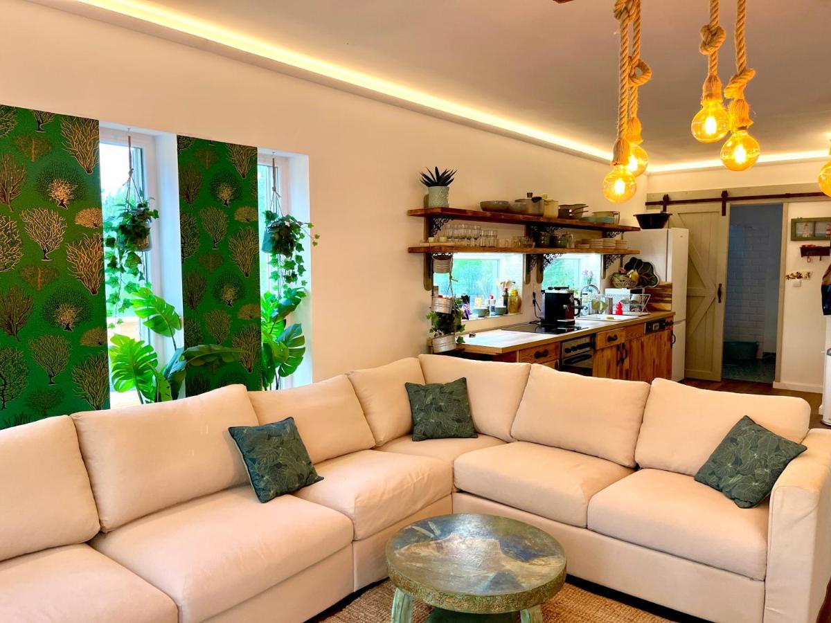 Bohemian Eco Lodge Kisapati 외부 사진
